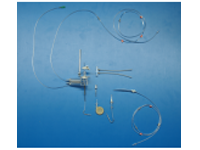 Addition to Perfuse Mouse Lungs on IPL-2