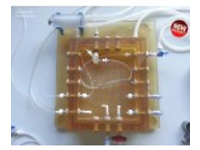 Autoclavable Moist Chamber