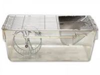 Clocklab for Activity Wheels (Coulbourn)2 Clocklab for Activity Wheels (Coulbourn)2