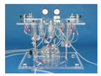 IH5-BI Biventricular Working