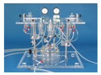 IH5-BI Biventricular