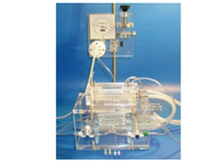 Perfusion Bath for Tubular Organs (PBTO)