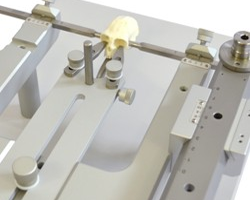 marmoset adaptor
