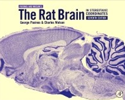 rat brain in stereotaxic coordinates, 7th edition