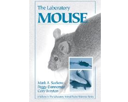 the laboratory mouse