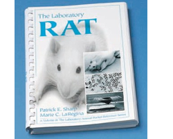 the laboratory rat