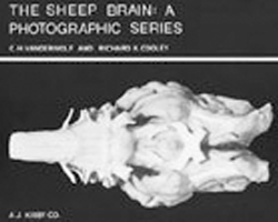 the sheep brain, vanderwolf & cooley